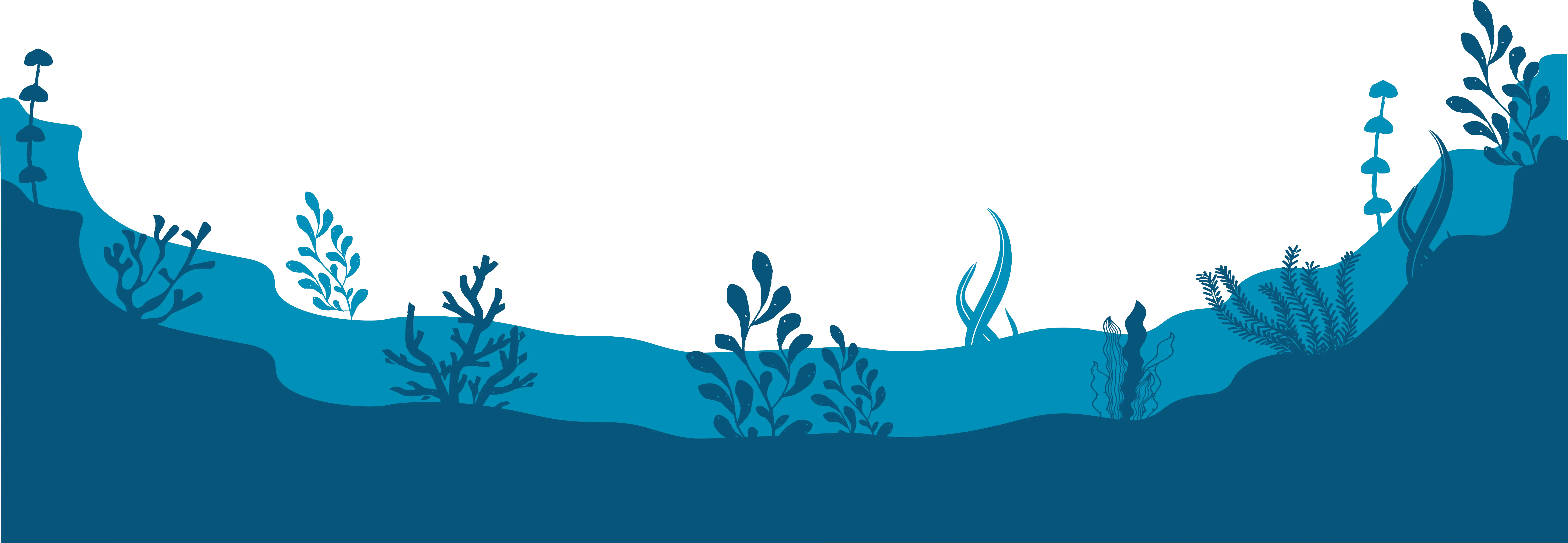 Fondo del mar